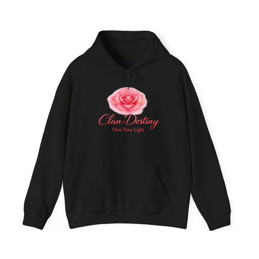 Own Your Light Rose Hoodie